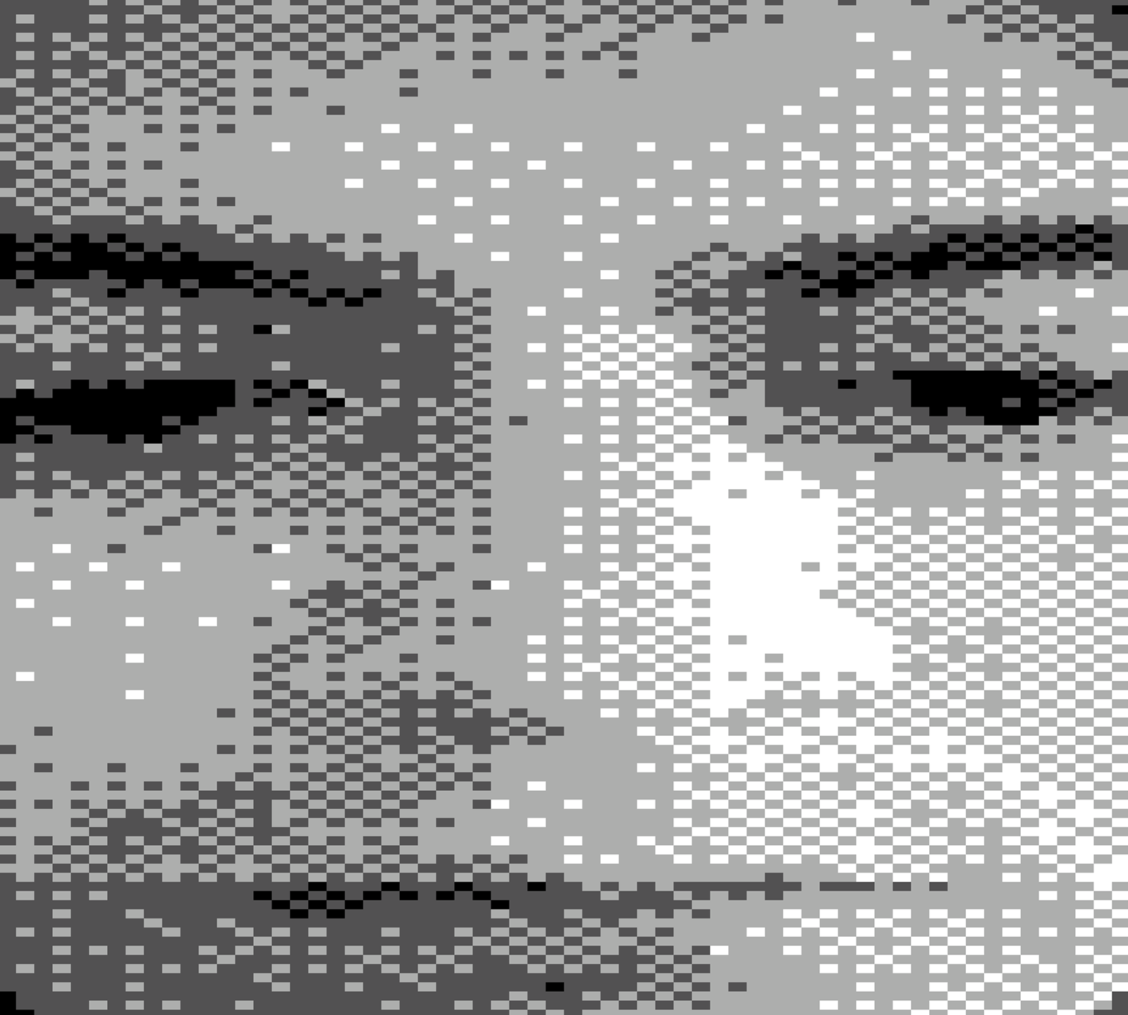 Portrait of the Auspicious Stranger